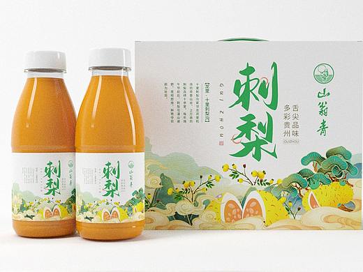 刺梨国潮插画包装设计