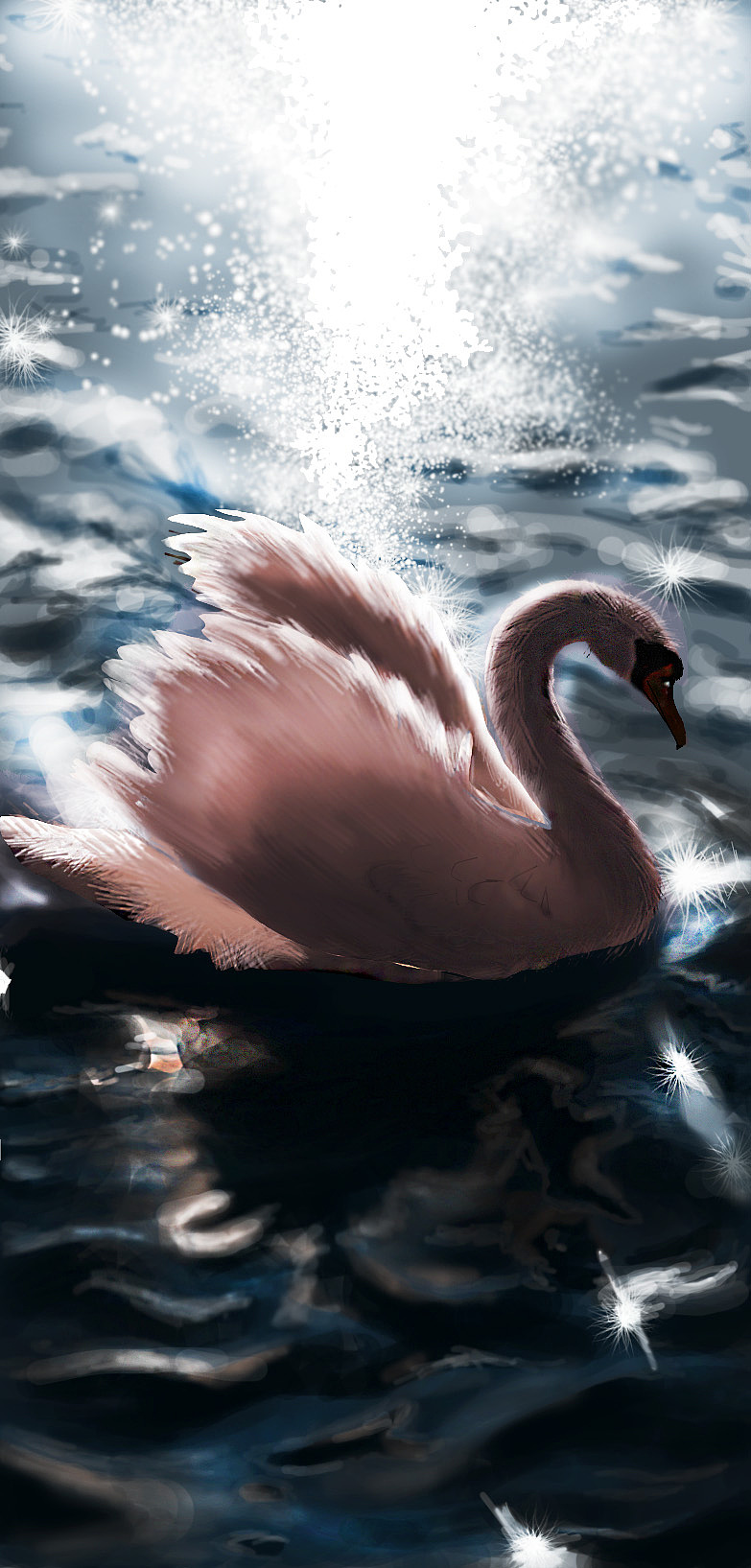 粉红天鹅|插画|创作习作|蛐蛐萨玛 - 临摹作品 - 站酷 (zcool)