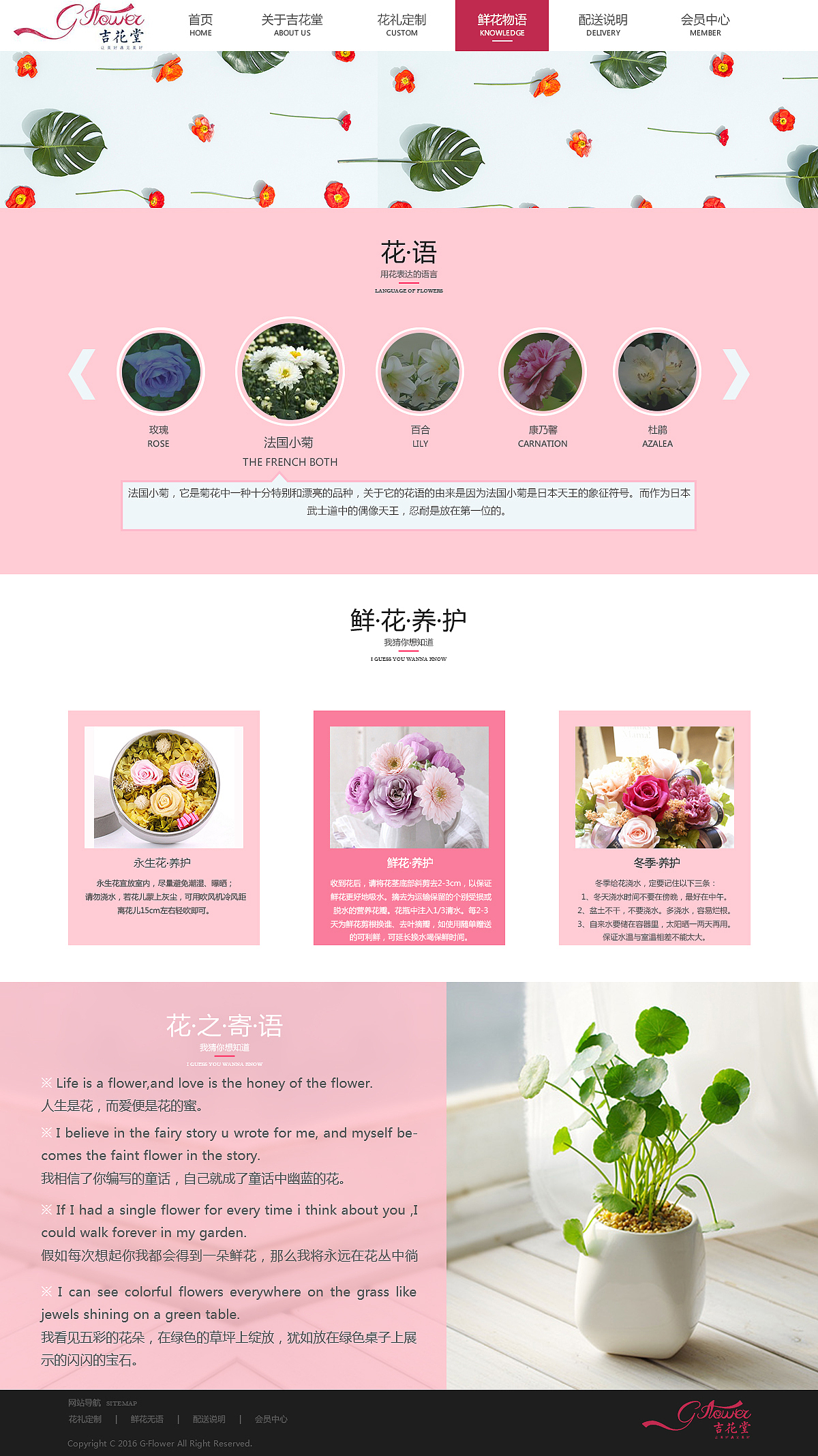 网页设计吉花堂花店