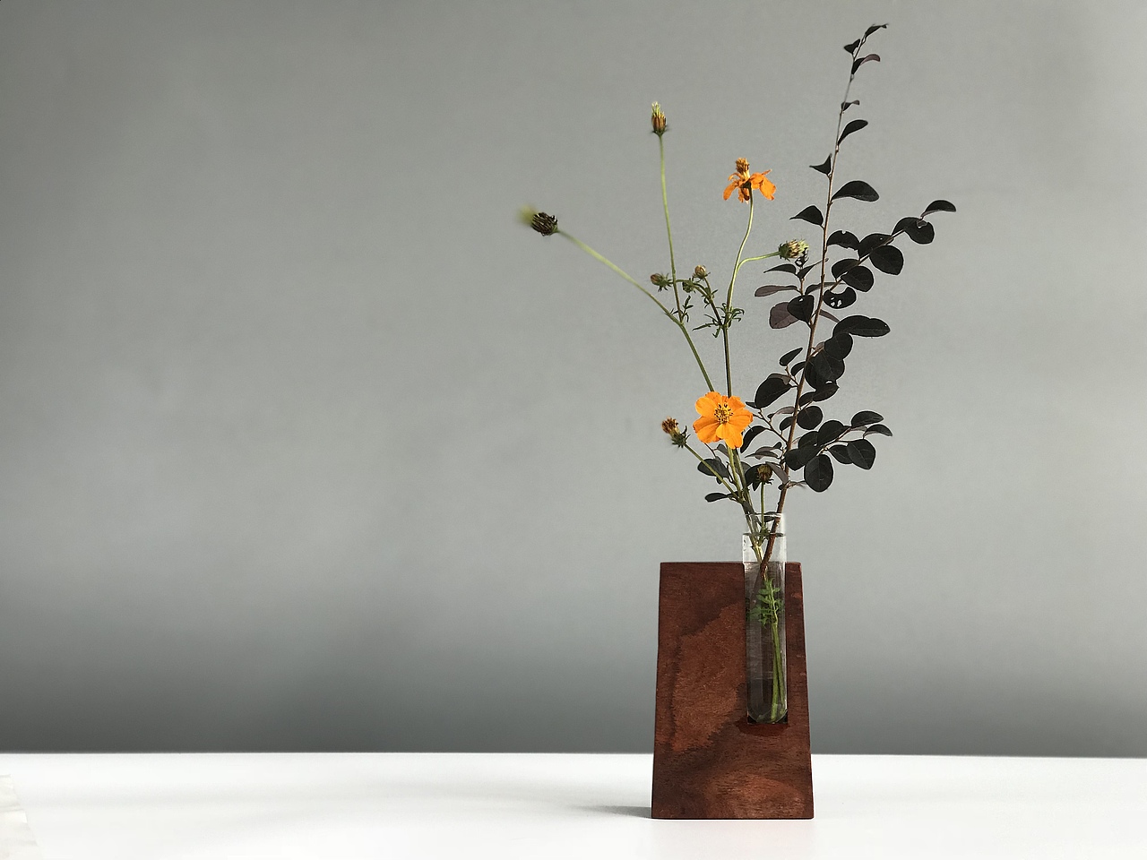 花器 Floral organ（图ZOTg0NTc5NjA=） - 实验艺术 - 站酷设计师谈木集原创素材 - 站酷ZCOOL