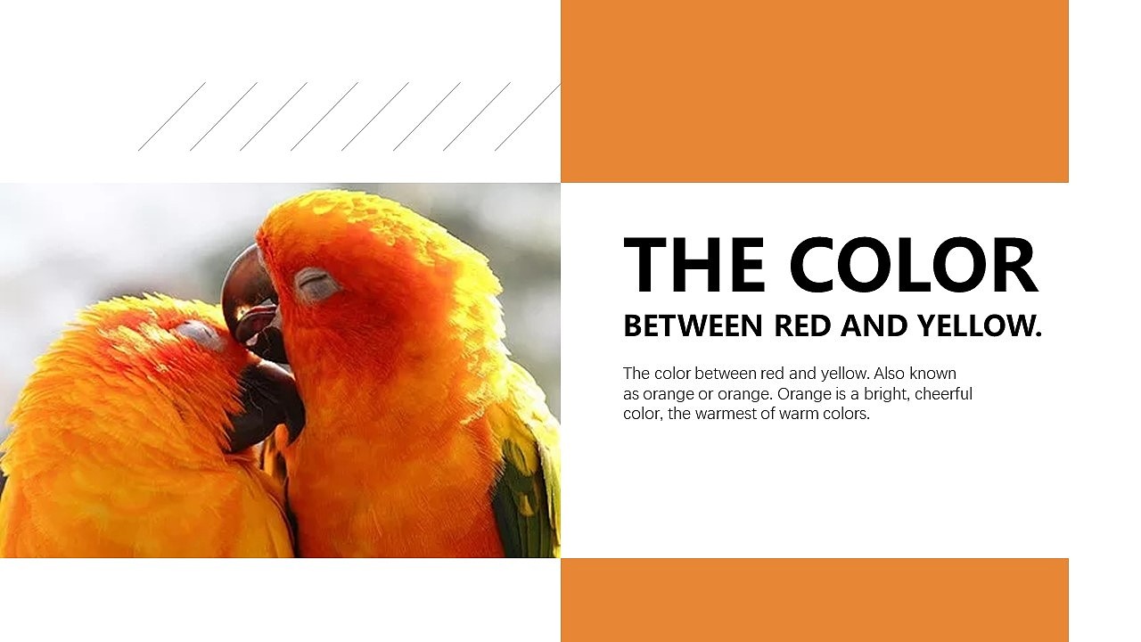 ORANGE（圖ZMjAyNjY3MTQw） - PPT/Keynote - 站酷設計師原創(chuàng)PPT設計師原創(chuàng)素材 - 站酷ZCOOL