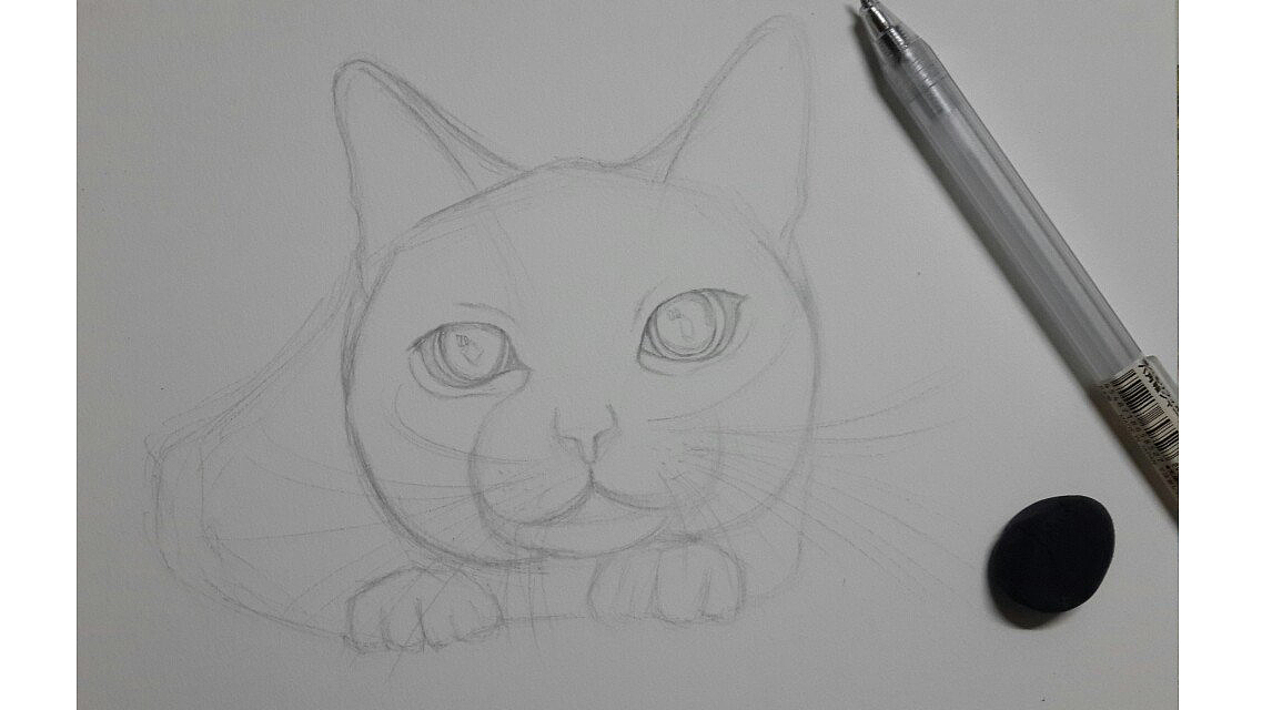 圆珠笔小猫。练习