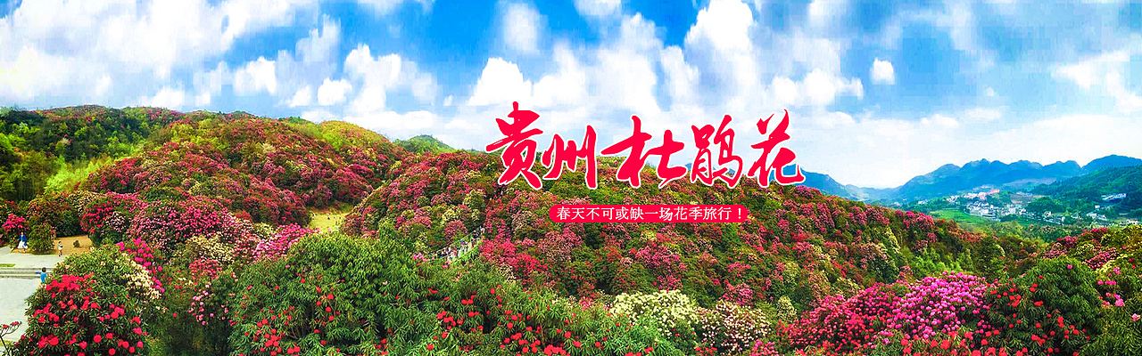 旅游banner（图ZMTQ2NzUyNjg4） - 运营设计 - 站酷设计师青莲伴笙歌原创素材 - 站酷ZCOOL