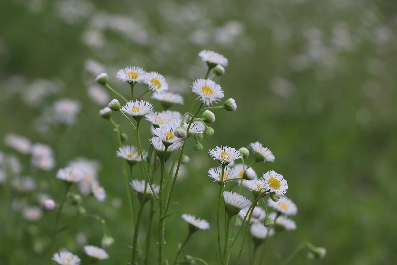 小动物的小小世界