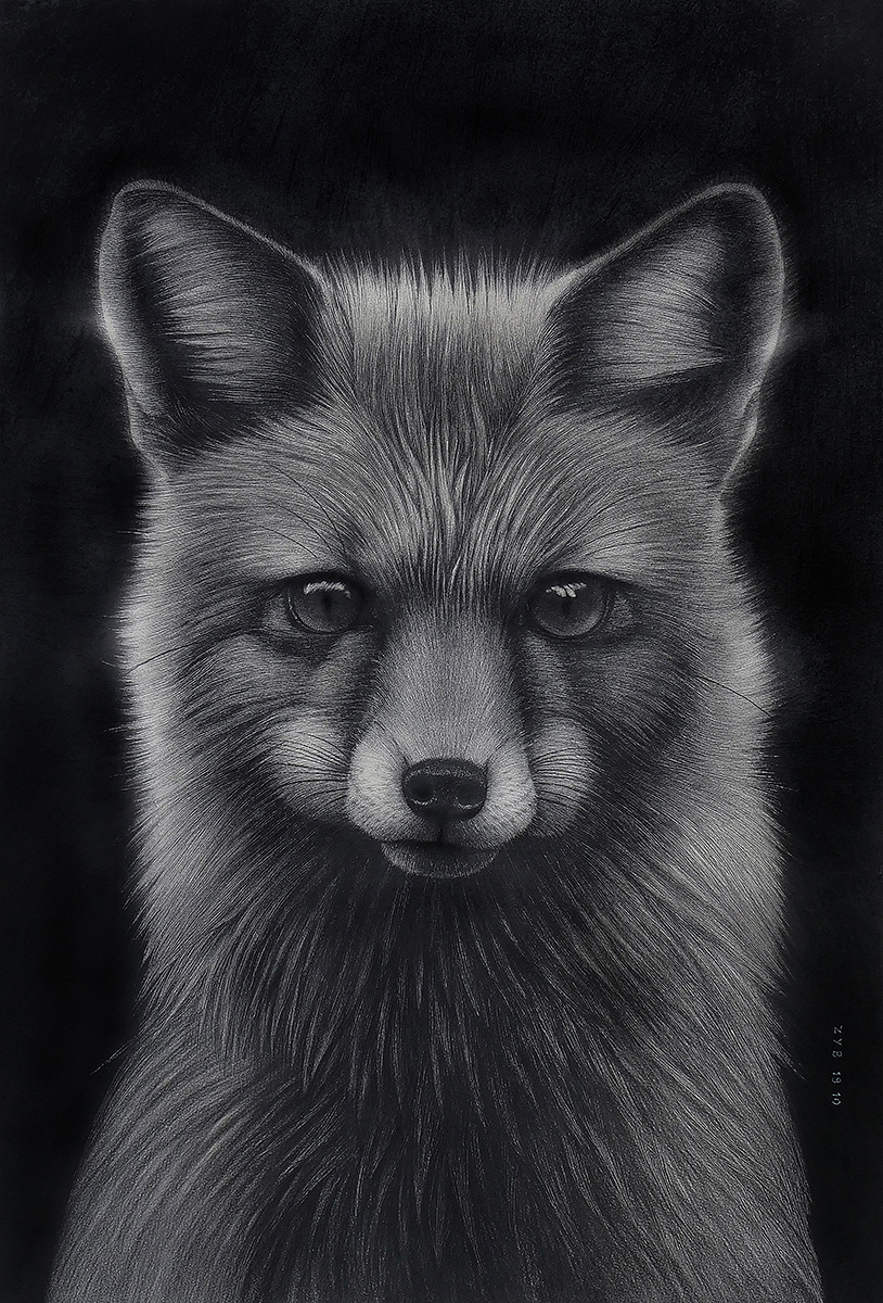 小坏狐狸的故事|纯艺术|绘画|finciel2014_原创作品-站酷zcool