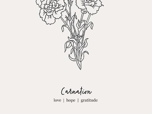 生日月花（个人主页-ZNTc3NDk4OTI=） - 图案 - 站酷设计师王老吉1218原创素材 - 站酷ZCOOL