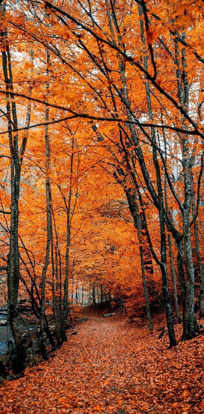 墙体彩绘涂鸦 案例图片分享13461460833