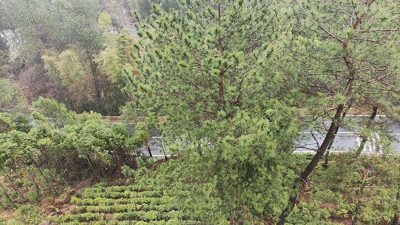 皖南川藏线—六道湾