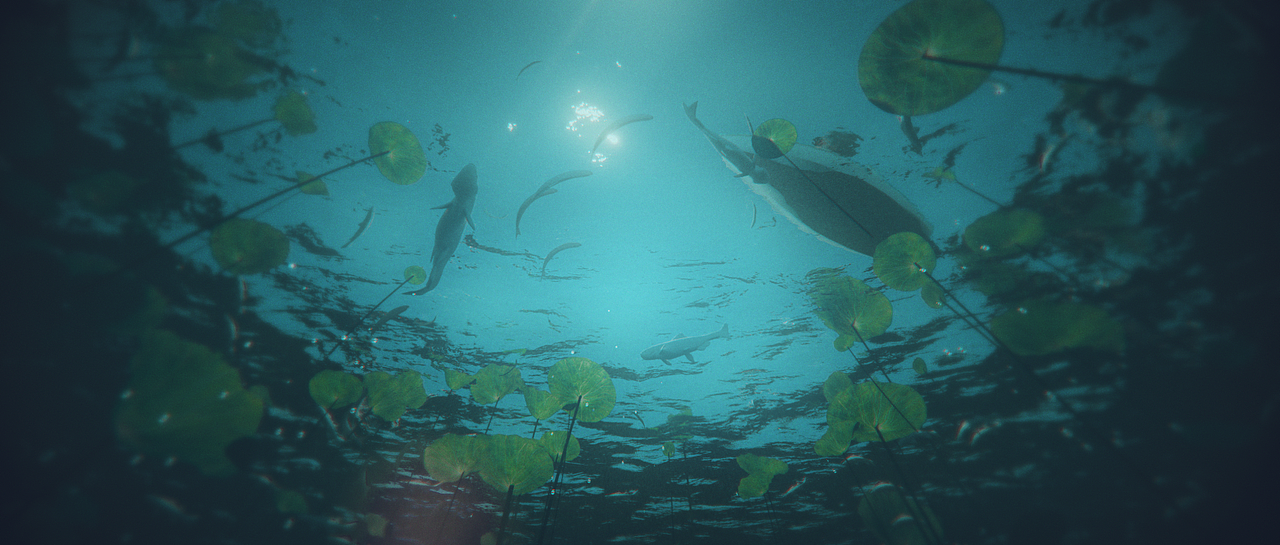 【纸飞机】大三学生自制短片