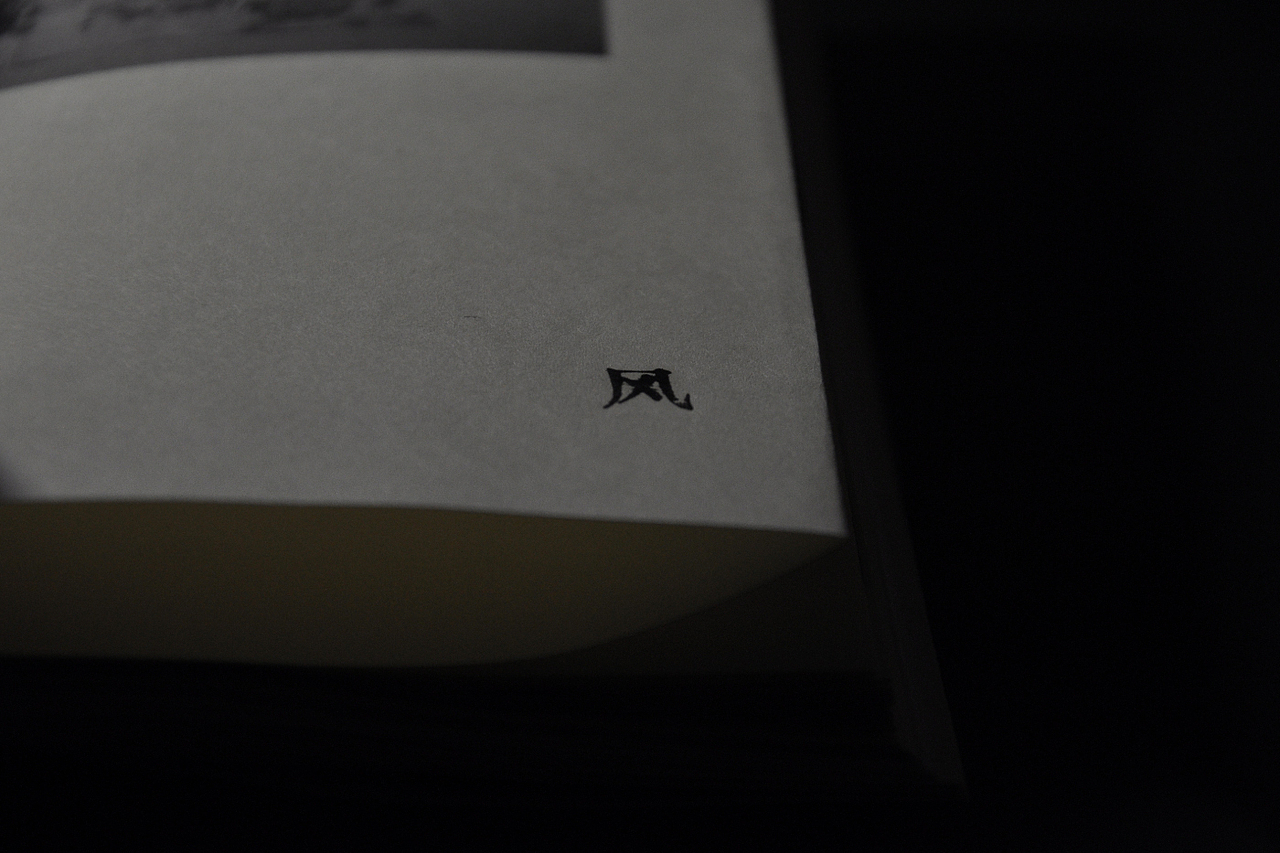 自然的痕迹 —— 迟来的毕业设计