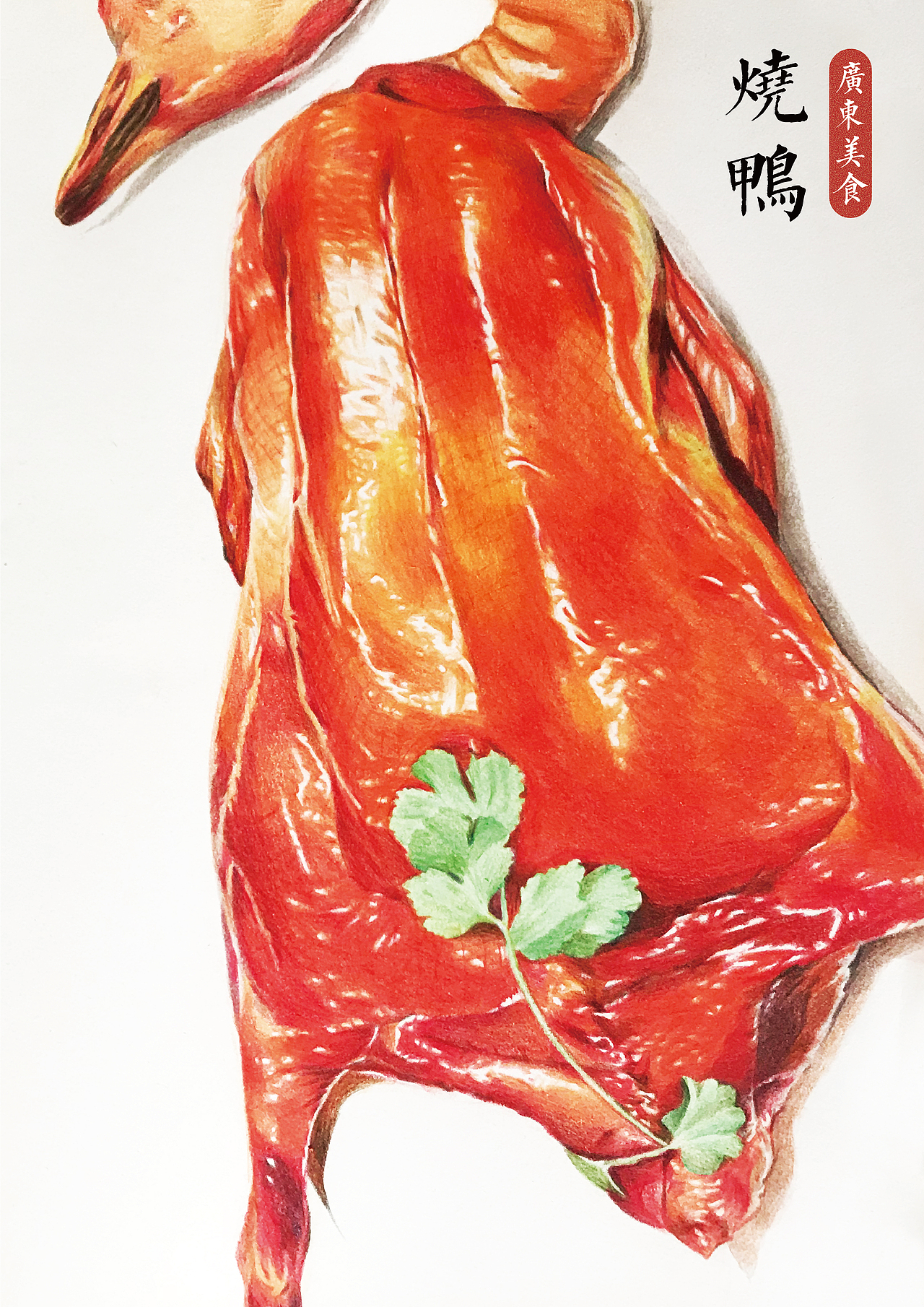 手绘美食彩铅插画烧鹅