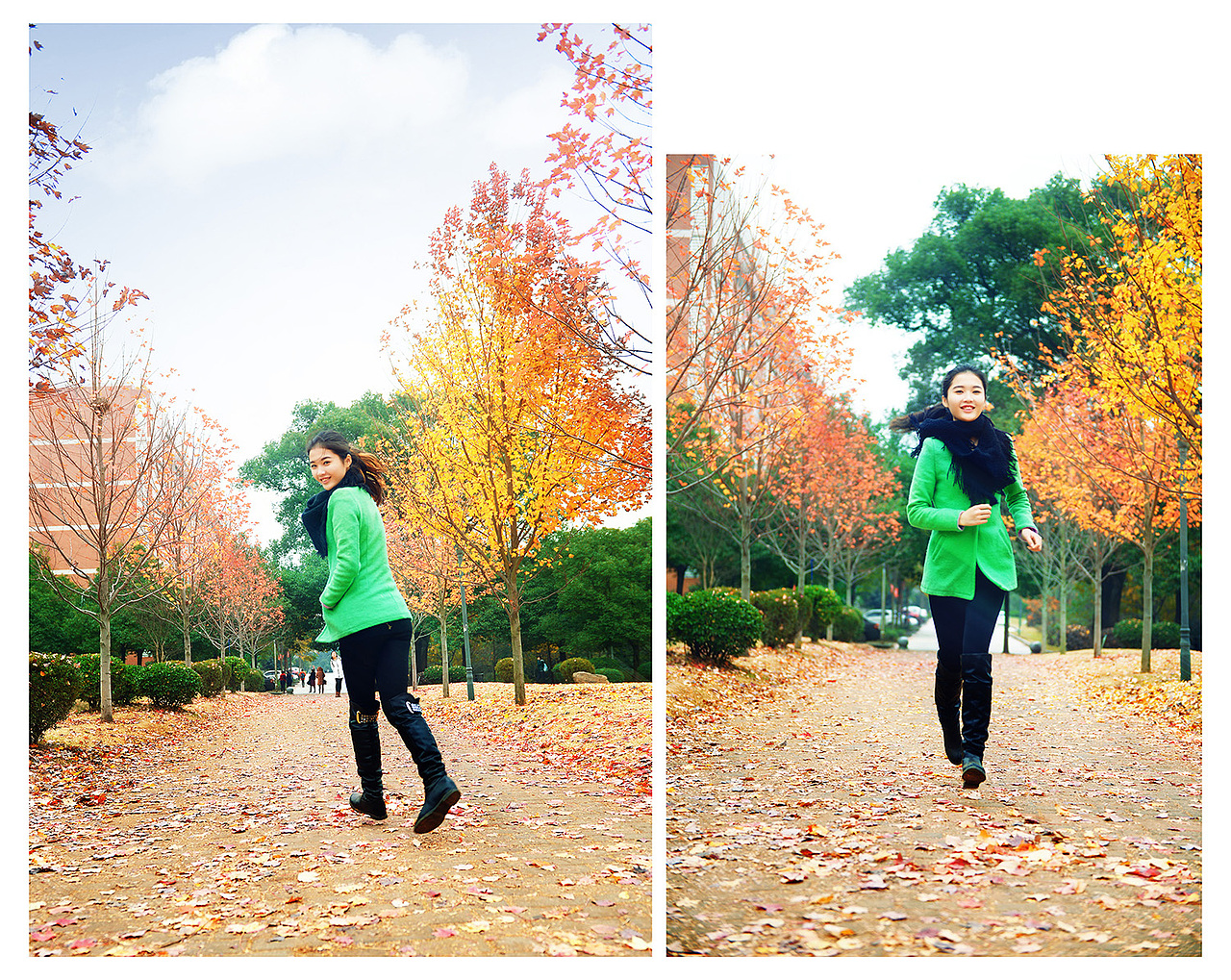 幺四的最后一片枫叶