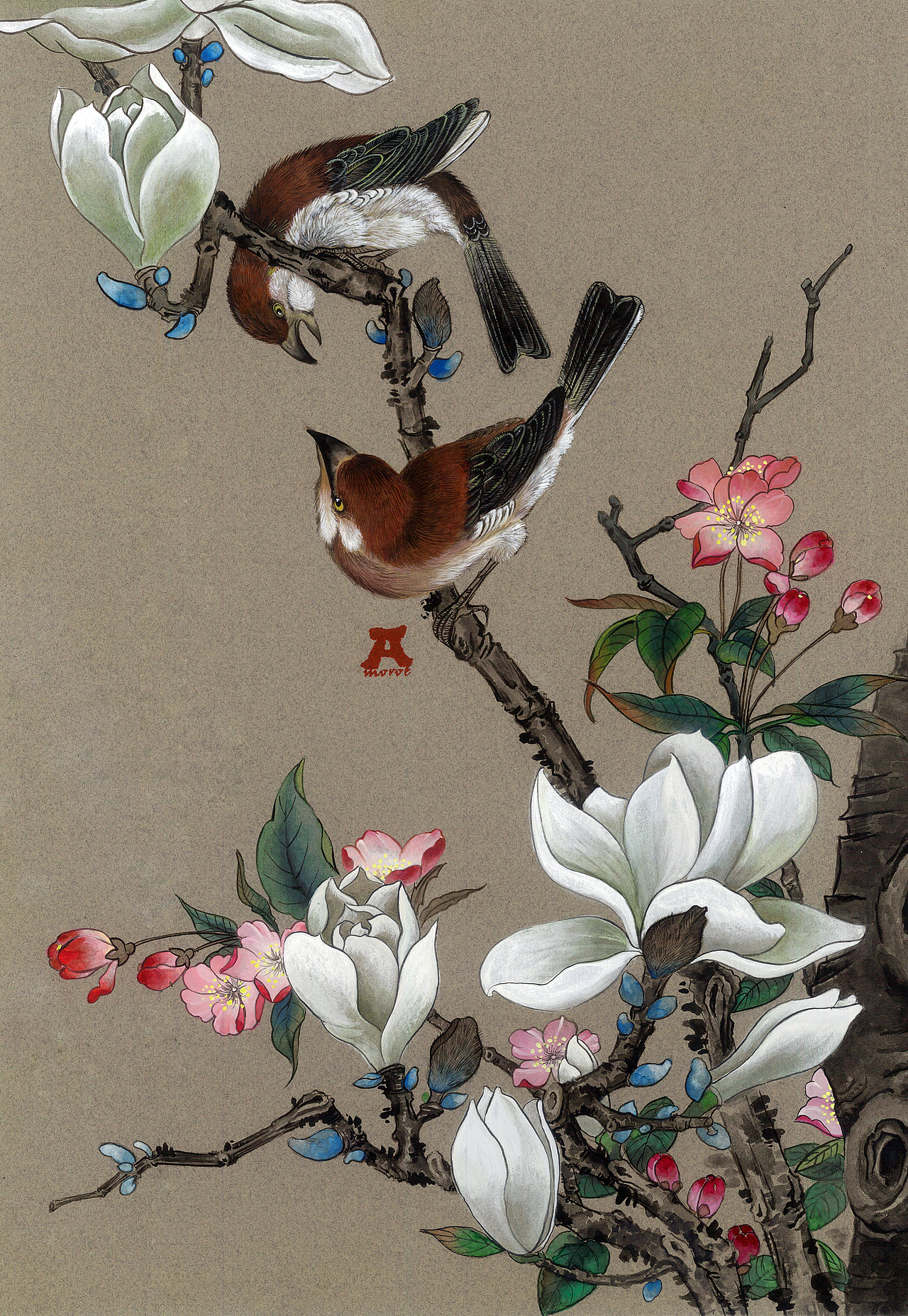 玉兰花（图ZMTMzMDg0NDg=） - 文案/策划 - 站酷设计师amoroe原创素材 - 站酷ZCOOL