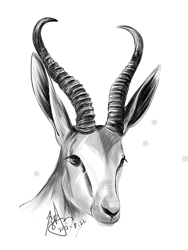 8月每日一涂插画、儿童漫画、Q版人物绘制线稿以及动植物绘画集（图ZMzMxMDE1ODg=） - 新锐潮流插画 - 站酷设计师果心插画设计原创素材 - 站酷ZCOOL