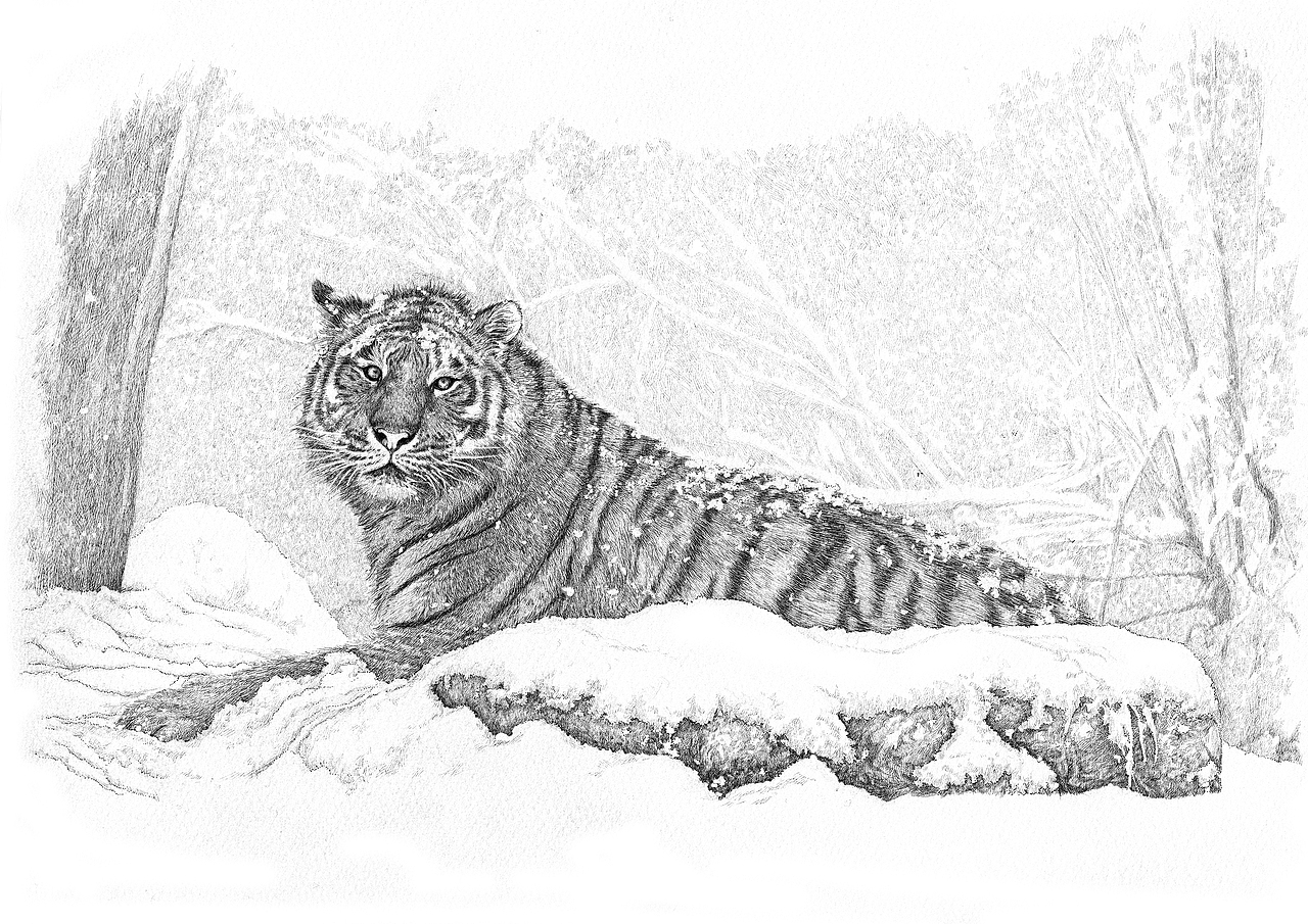 哈尔滨针管笔手绘