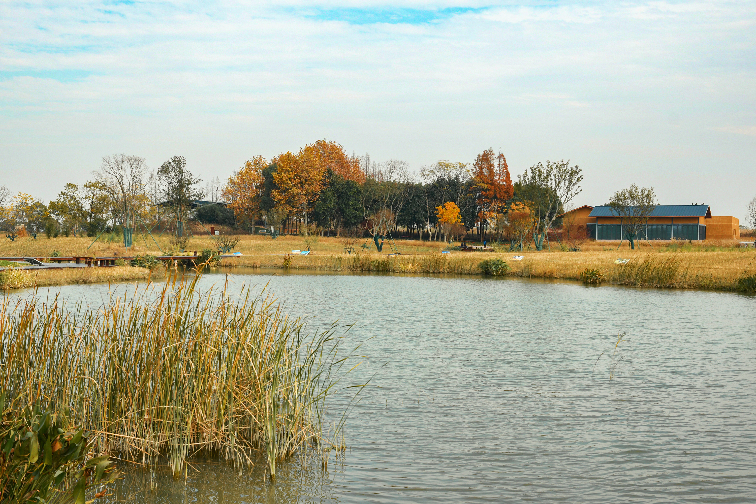 浙江省杭州市良渚遗址公园