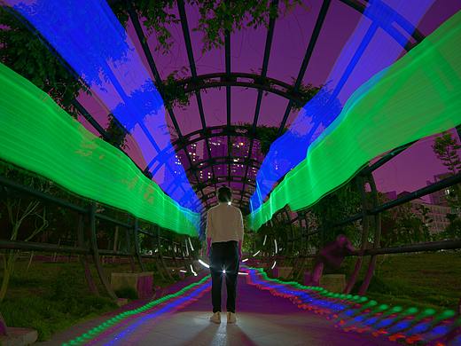 【光绘摄影】夜游安徽农业大学光涂鸦