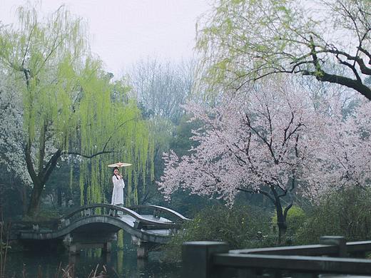 烟雨江南