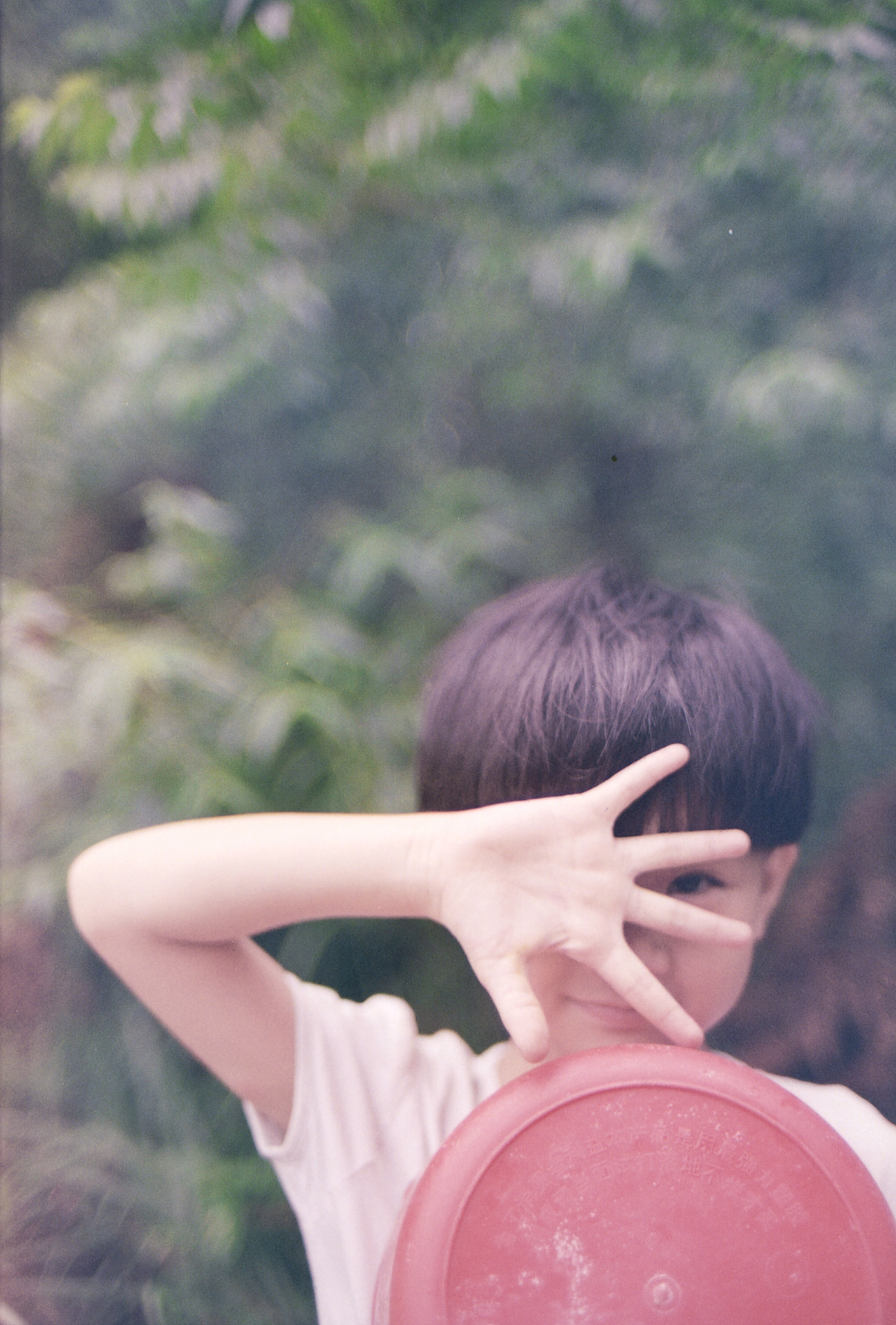 我亲爱的大灰狼