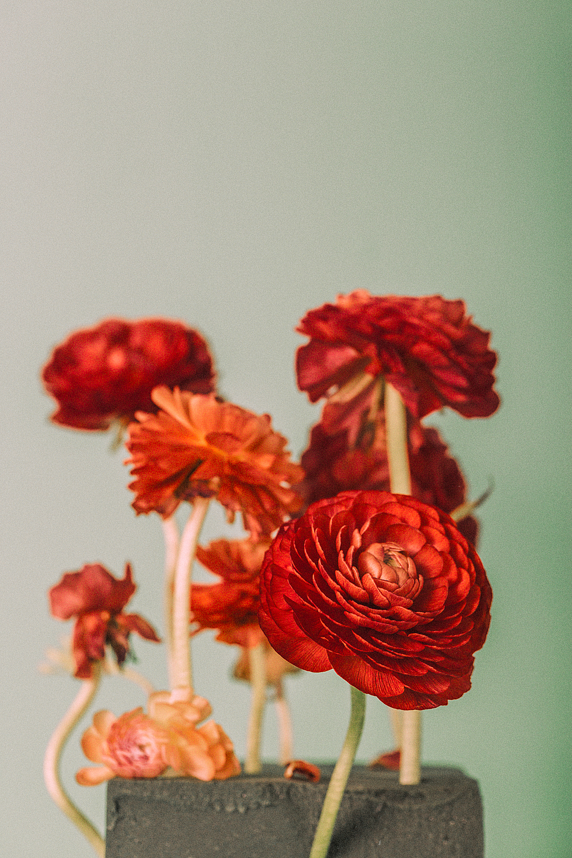 绿/花（图ZMTgzMTc4ODMy） - 产品摄影 - 站酷设计师刘佩相_koto原创素材 - 站酷ZCOOL