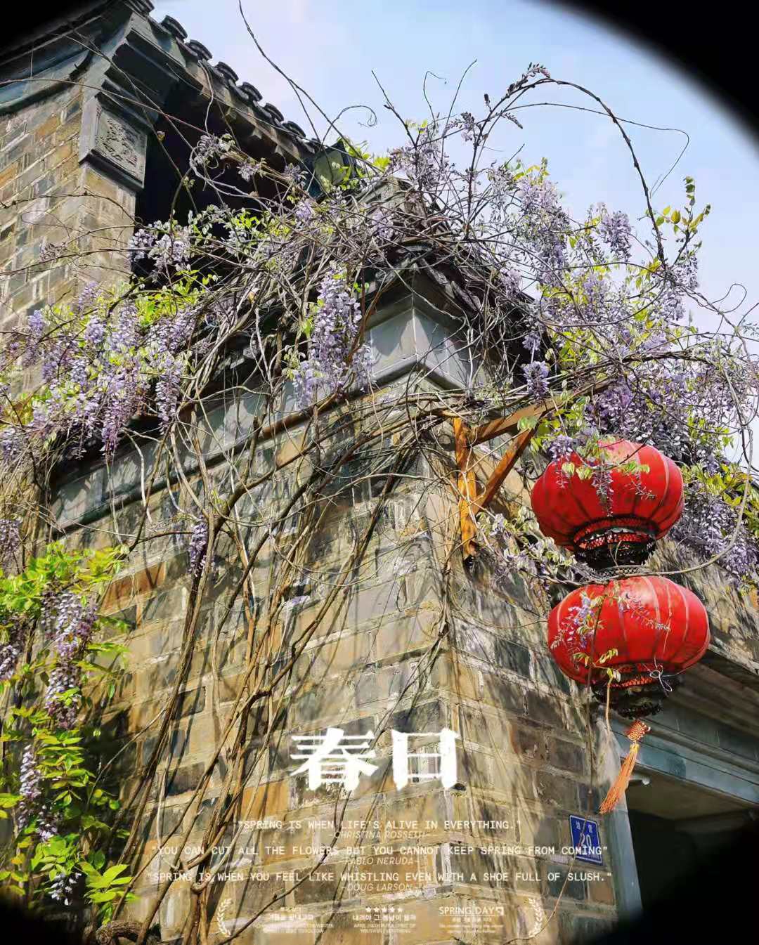 大雨叮咚的个人主页（背景预览） - 主页背景设置 - 站酷设计师大雨叮咚原创素材 - 站酷ZCOOL