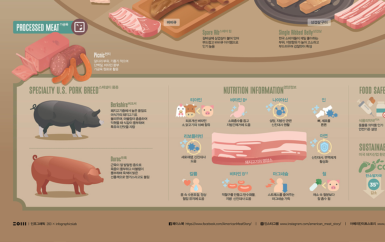 2020_01_猪肉_Pork【信息图表】（图ZMTk1MzAwMjI0） - 信息图表 - 站酷设计师203_信息图表_Lab原创素材 - 站酷ZCOOL