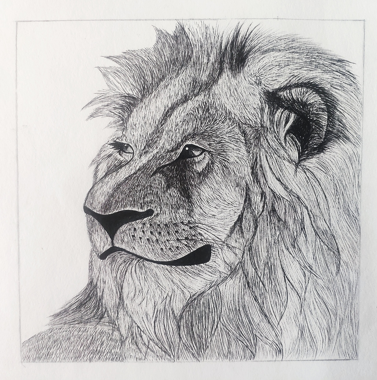 动植物（图ZMTg3MDk2MTcy） - 绘画 - 站酷设计师Luller原创素材 - 站酷ZCOOL