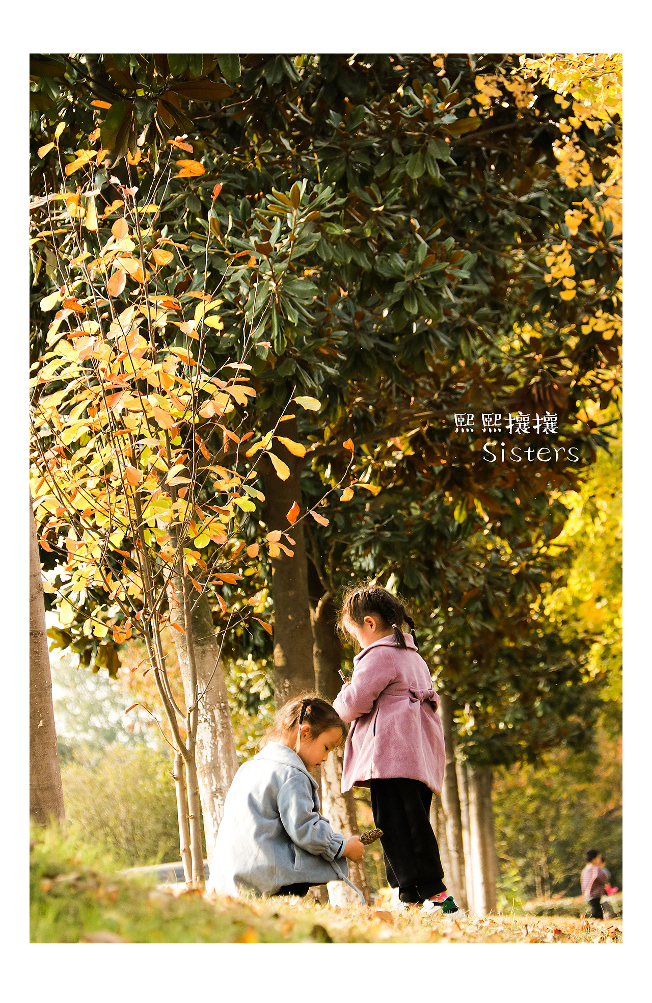 我的熙熙攘攘拍摄——秋天落叶（图ZMTgzMzcyMDA0） - 人像摄影 - 站酷设计师我的熙熙攘攘原创素材 - 站酷ZCOOL