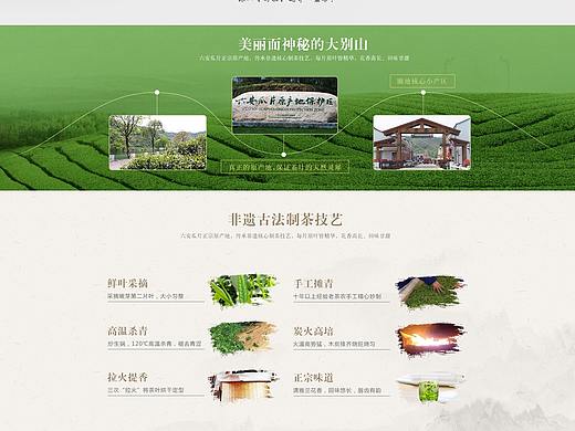 電商設(shè)計&詳情頁設(shè)計&茶葉（個人主頁-ZNDQ0MjkwMDg=） - 電商 - 站酷設(shè)計師甲乙品牌設(shè)計原創(chuàng)素材 - 站酷ZCOOL