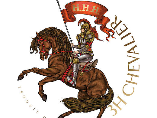3H骑士波尔城堡多干红品牌包装插画设计