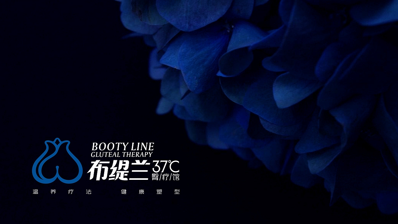 很性感的LOGO方案（图ZMjkzMjgxMjI4） - 品牌 - 站酷设计师辛梵原创素材 - 站酷ZCOOL