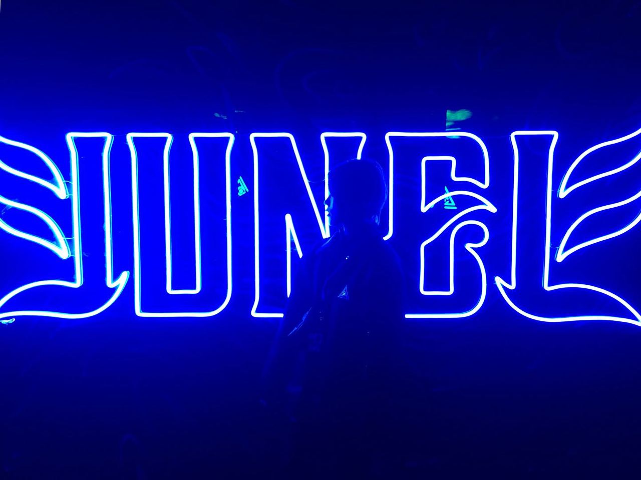 丛林电子音乐节logo设计