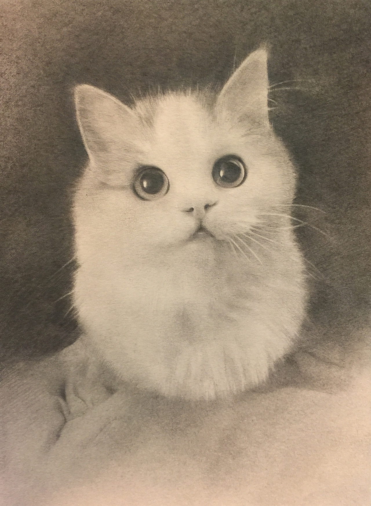 猫的碎碎画（图ZOTA2Njc4MzY=） - 绘画 - 站酷设计师爱画人de猫原创素材 - 站酷ZCOOL