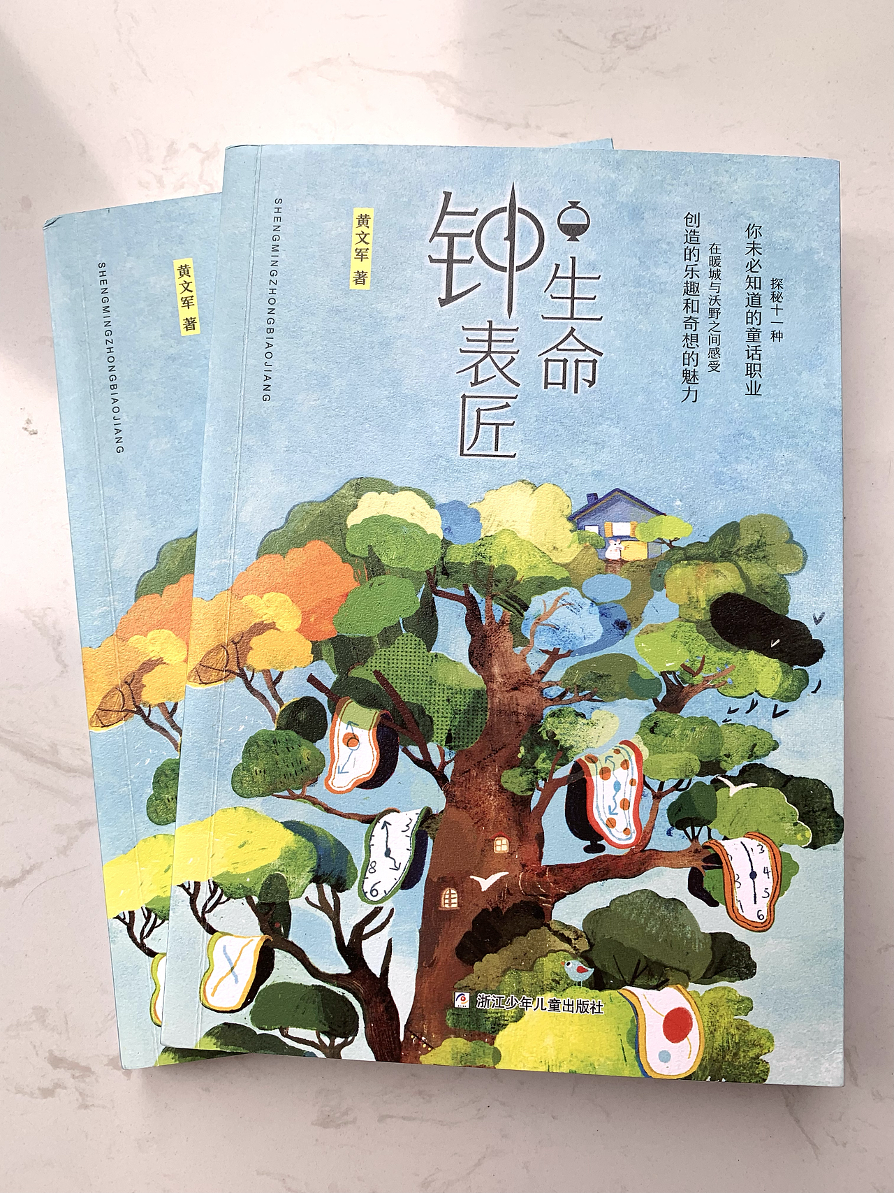 书籍封面插画|浙江少年儿童出版社
