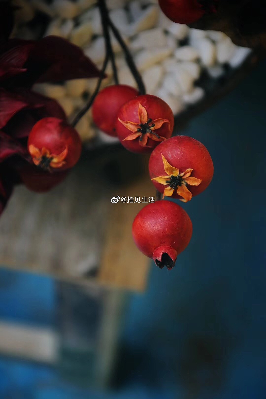 指见生活二十八期粘土花艺培训学员作品展示(二)