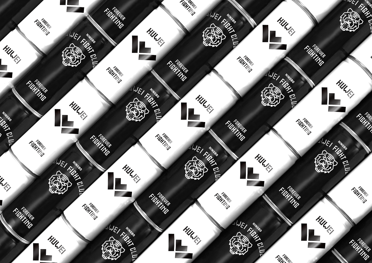 Forever Fighting_虎威拳馆 Huwei Fight Club