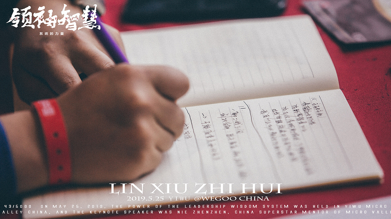 领袖智慧系统的力量