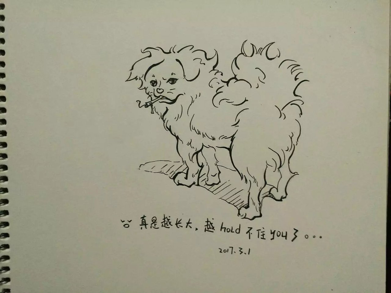 我那些线稿啊！（图ZMTYyNTM4OTEy） - 艺术插画 - 站酷设计师诗萌可原创素材 - 站酷ZCOOL