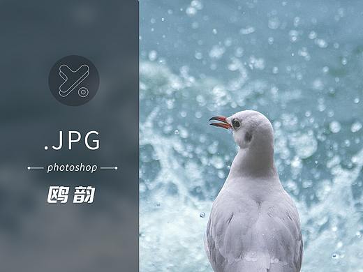 鸥韵
