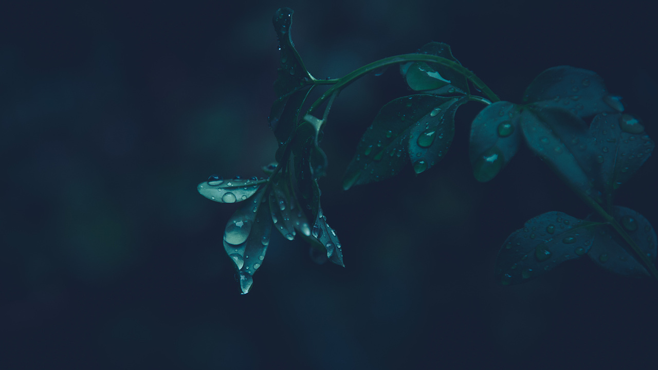 自己拍壁纸系列01（图ZMjUxNTQ0NjY4） - 风光摄影 - 站酷设计师狠手辣原创素材 - 站酷ZCOOL