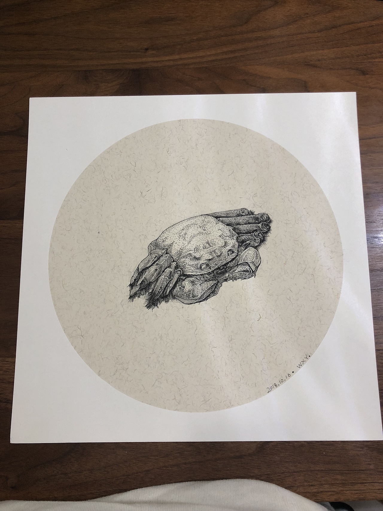 大闸蟹（图ZMTMxNzA0MjA4） - 绘画 - 站酷设计师WXYBB原创素材 - 站酷ZCOOL