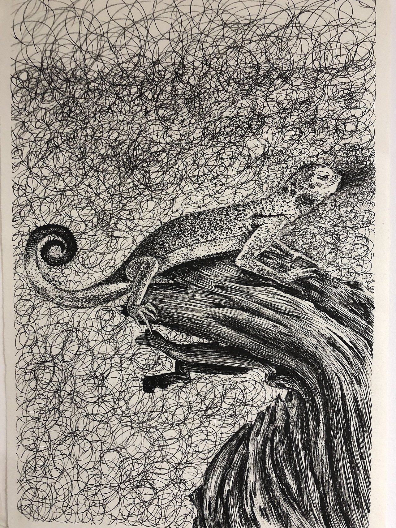 中性笔素描蜥蜴