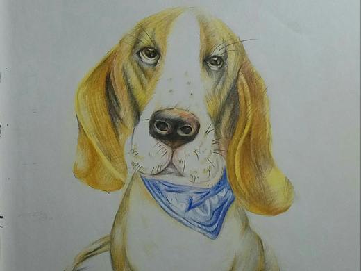 手绘（个人主页-ZNDMyMzcyMTY=） - 艺术插画 - 站酷设计师小布1103原创素材 - 站酷ZCOOL