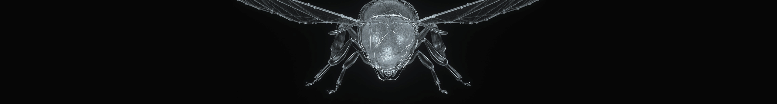 Jeffrey_art的个人主页（封面预览） - 主页封面设置 - 站酷设计师Jeffrey_art原创素材 - 站酷ZCOOL