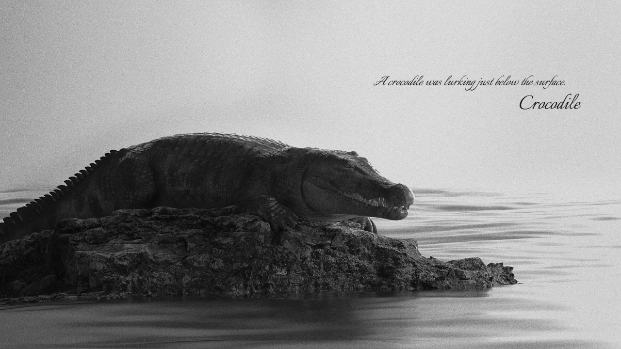 lomcho的个人主页（封面预览） - 主页封面设置 - 站酷设计师lomcho原创素材 - 站酷ZCOOL