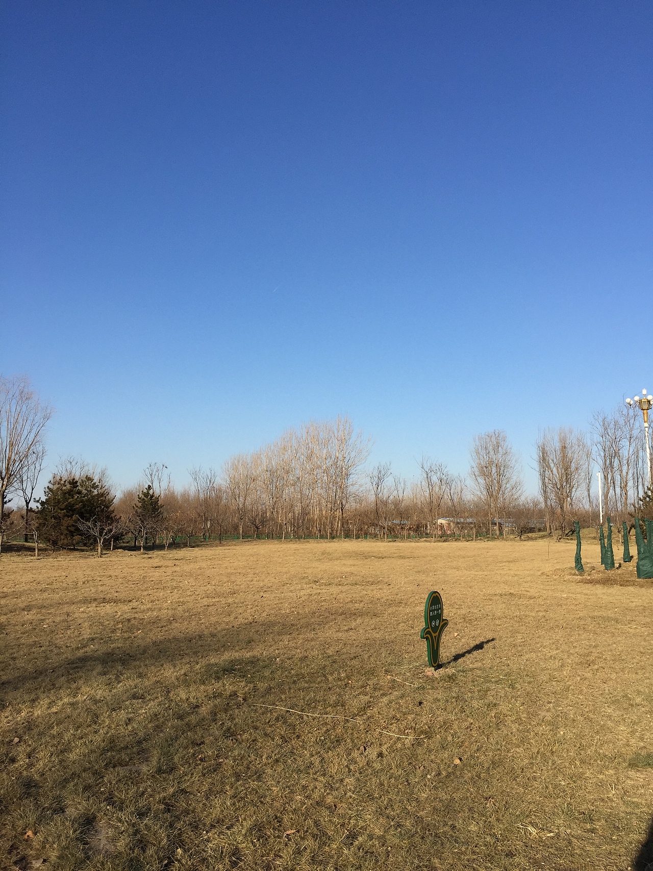 岁月无声,却悄悄流逝,而我想记录它当时的样子。