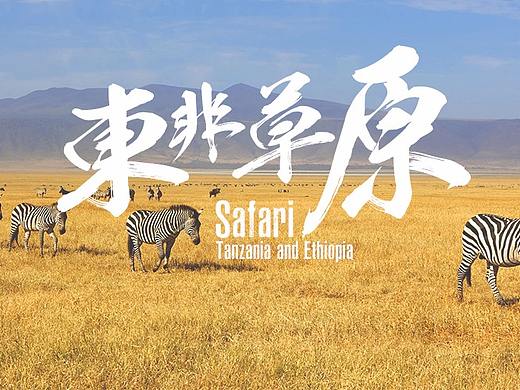 旅游