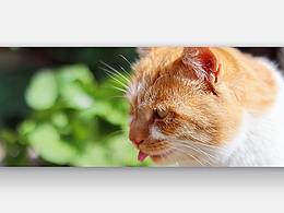 2020年摄影随拍【9月】