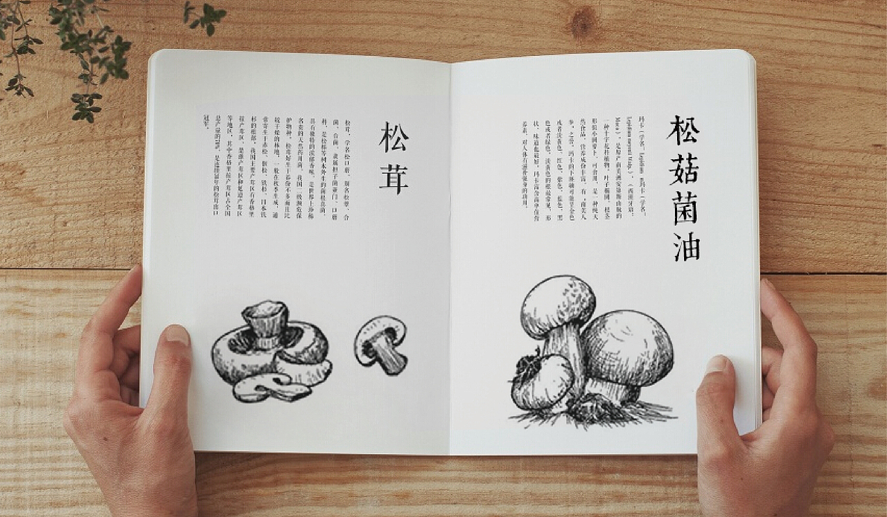 松菇菌油-品牌设计（图ZNjcyNDgxNTY=） - Logo - 站酷设计师__看客原创素材 - 站酷ZCOOL