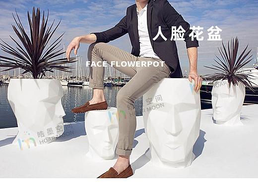 人脸花盆